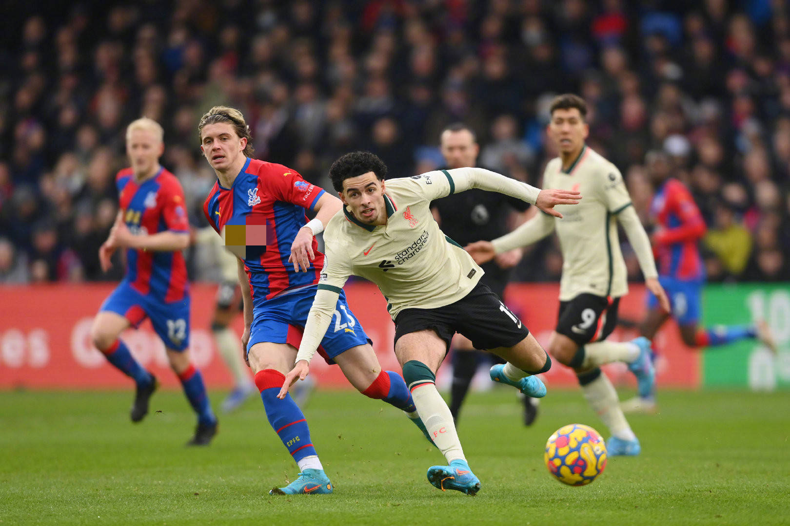 代恰20的 代恰20的